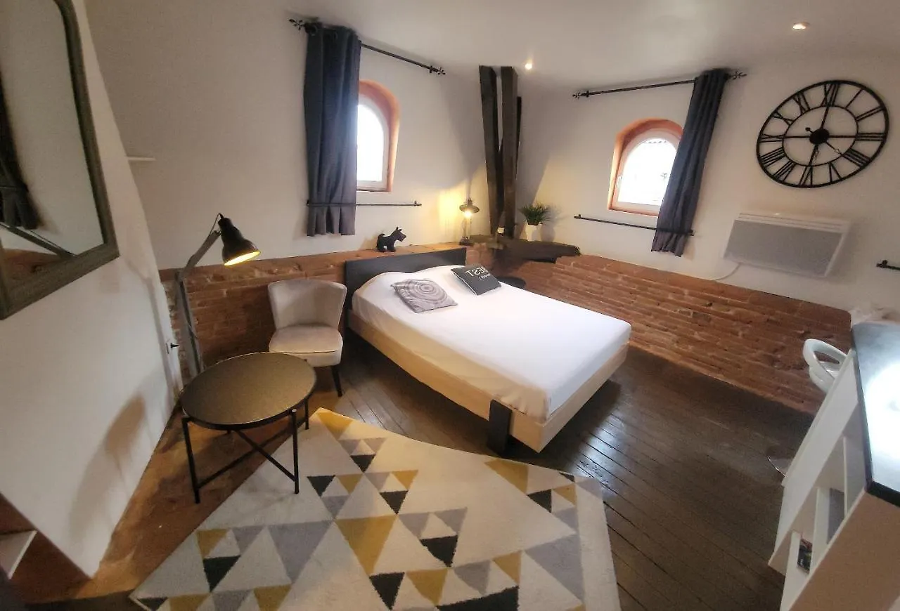 Studio Typique Toulousain Capitole Toulouse