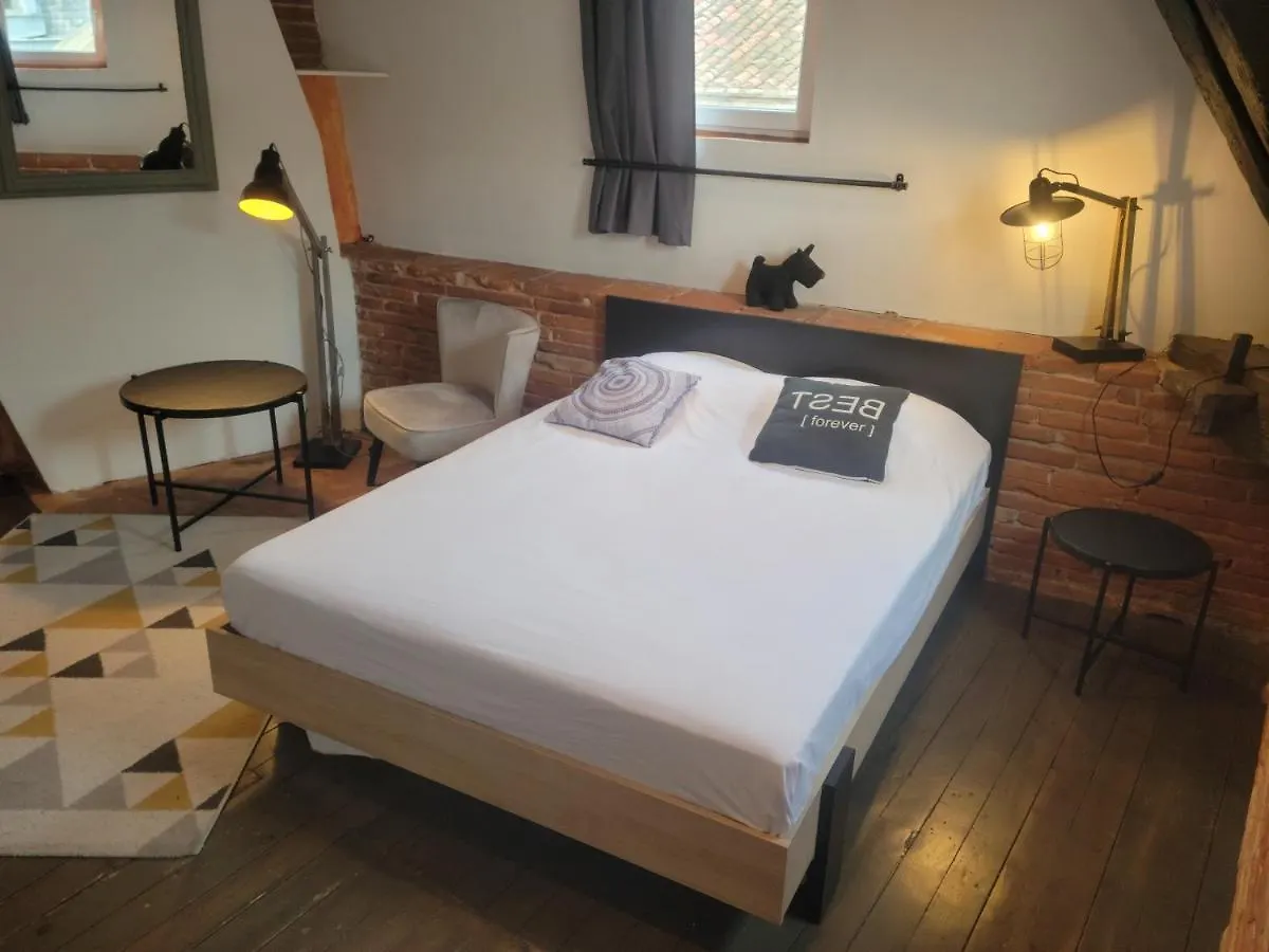 Apartment Studio Typique Toulousain Capitole Toulouse