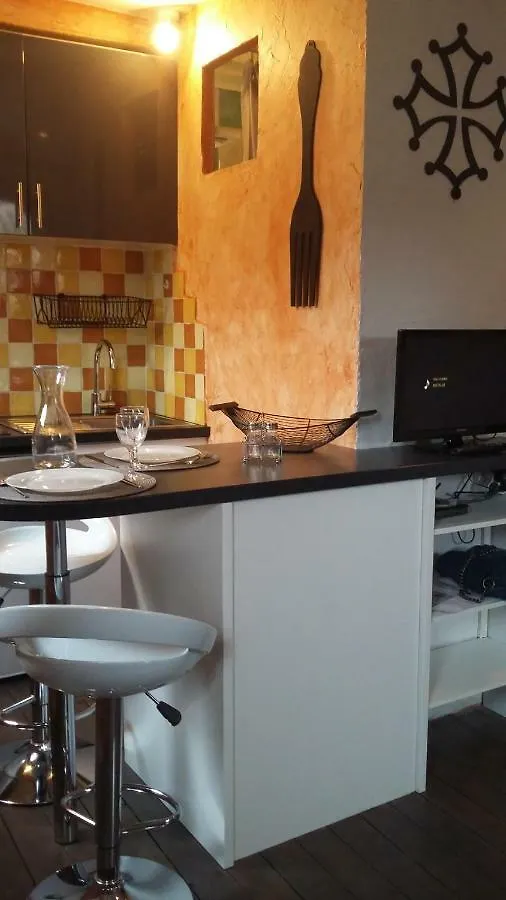 Studio typique toulousain Capitole Toulouse Appartement